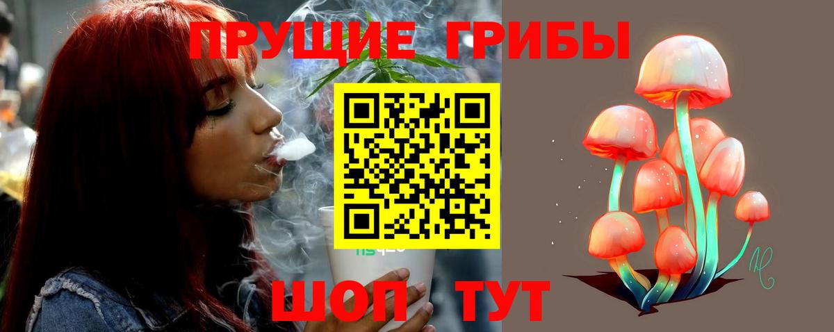 Сызрань  Галлюциногенные грибы MAGIC MUSHROOMS  Псилоцибиновые грибы мухоморы  Вход с VPN 